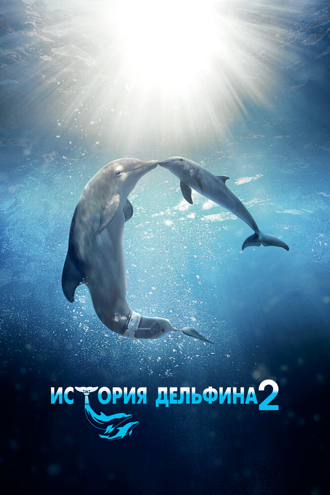 История дельфина 2 смотреть онлайн