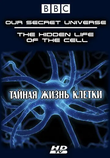 Внутренняя вселенная: Тайная жизнь клетки смотреть онлайн